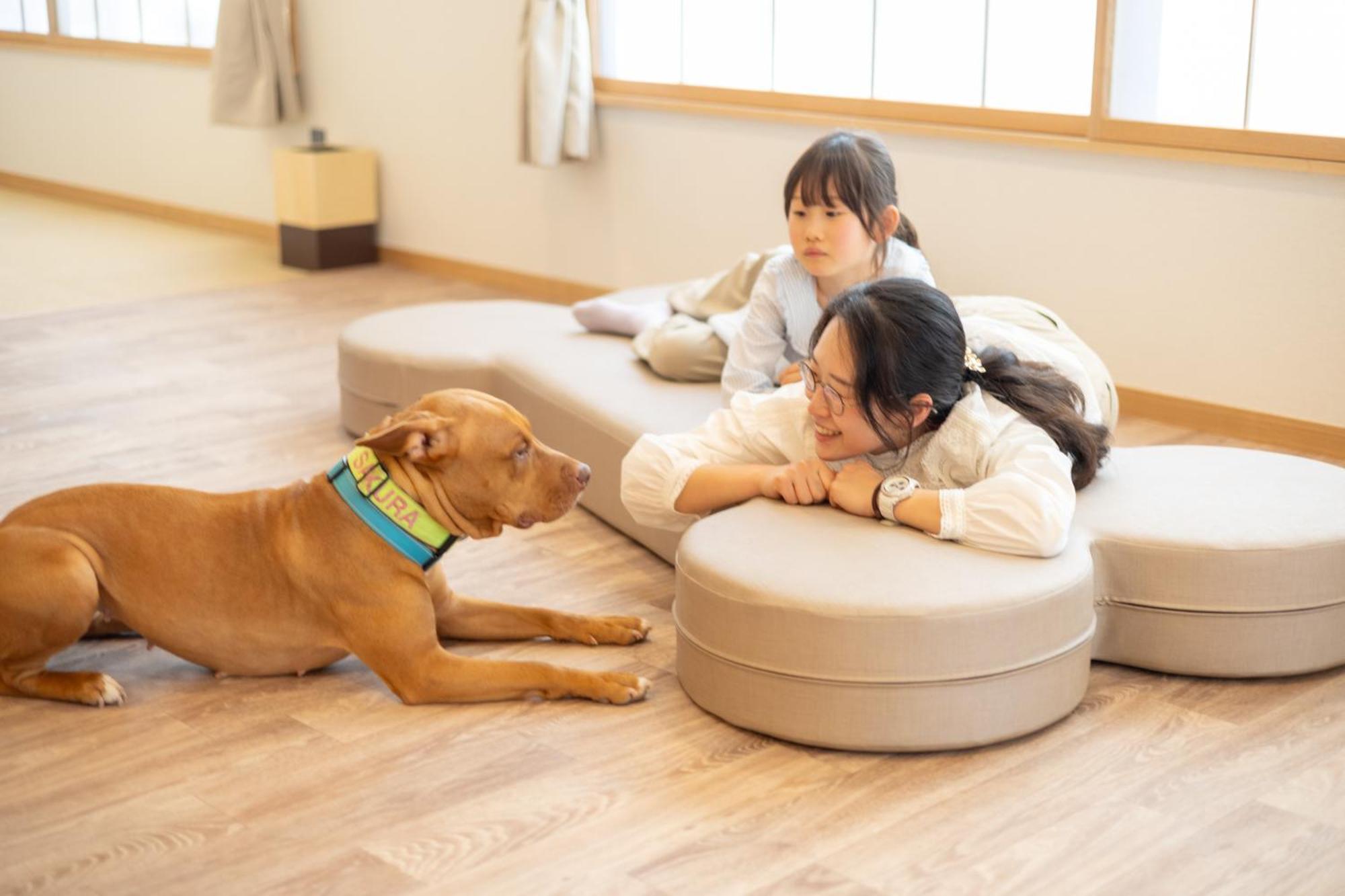 Komatsuya Hachinobou Izunokuni Exteriér fotografie